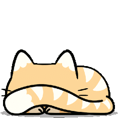 gatico2